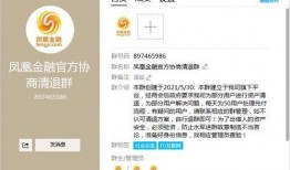 凤凰最新爆料消息,最新爆料事件深度解析