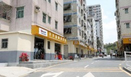 龙华大浪爆料最新消息今天,揭秘今日热点事件背后的真相