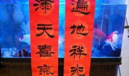 功德爆料最新视频播放,揭秘最新视频背后的惊人真相！