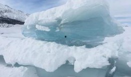 冰川王子12月最新爆料,12月最新爆料背后的惊人真相