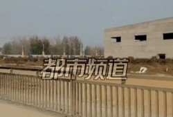 焦作武陟村民爆料案件最新,真相渐明，警方全力侦破中”